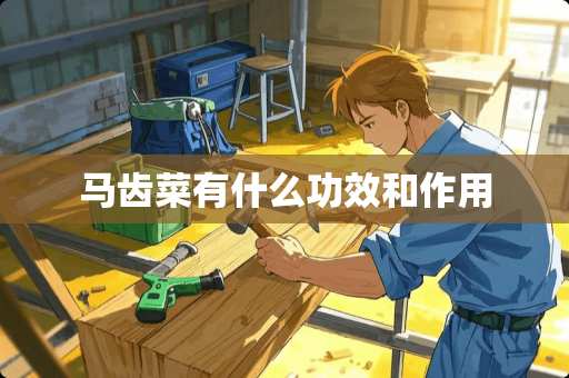 马齿菜有什么功效和作用 马齿菜有什么功效和作用