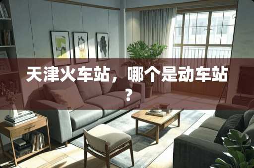 天津火车站，哪个是动车站？