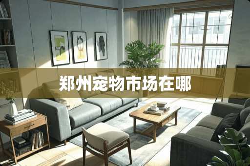 郑州宠物市场在哪