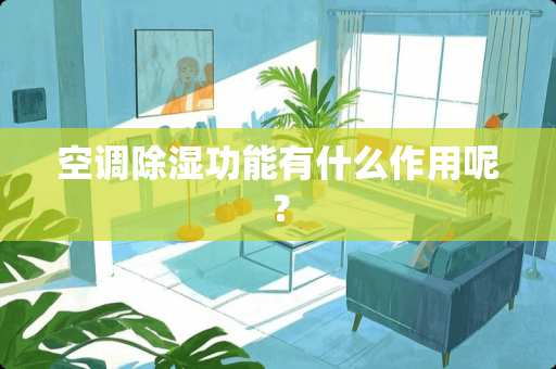 空调除湿功能有什么作用呢？