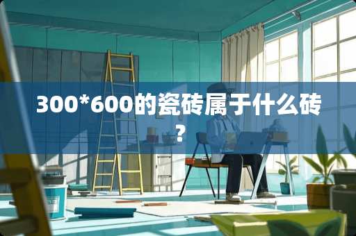 300*600的瓷砖属于什么砖？
