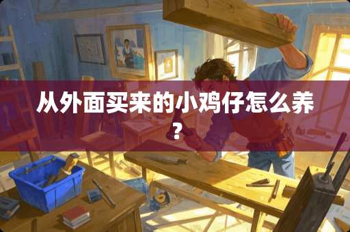 从外面买来的小鸡仔怎么养？