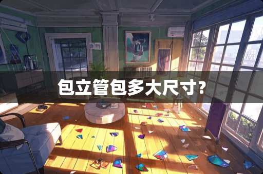 包立管包多大尺寸？