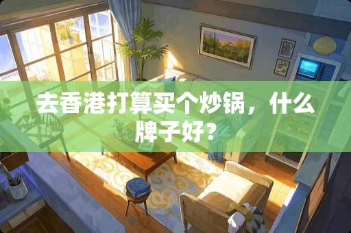 去香港打算买个炒锅，什么牌子好？