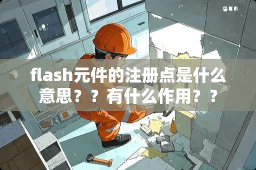flash元件的注册点是什么意思？？有什么作用？？