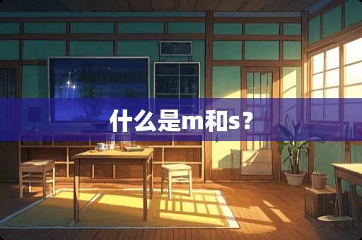 什么是m和s? 什么是m和s?