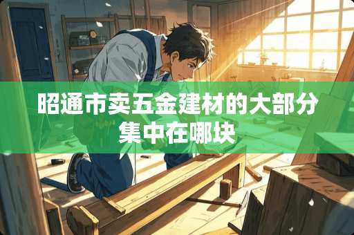 昭通市卖五金建材的大部分集中在哪块