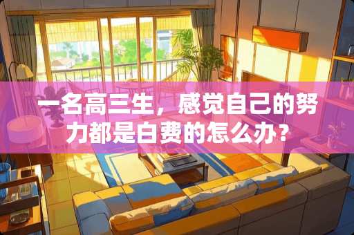 一名高三生，感觉自己的努力都是白费的怎么办？