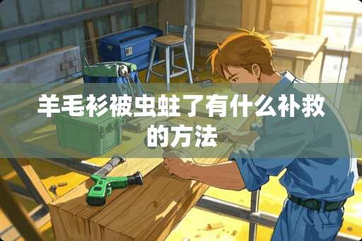 羊毛衫被虫蛀了有什么补救的方法