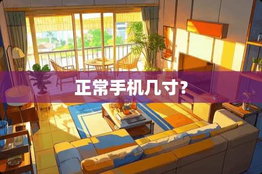 正常手机几寸？