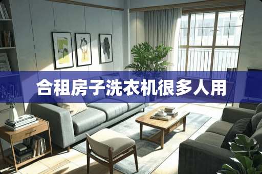 合租房子洗衣机很多人用
