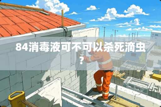 84消毒液可不可以**滴虫？