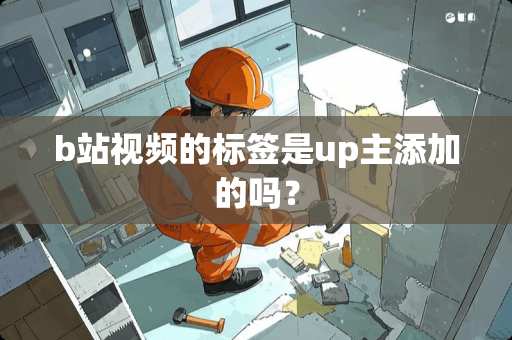 b站视频的标签是up主添加的吗？