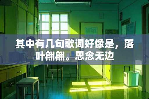 其中有几句歌词好像是，落叶翩翩。思念无边