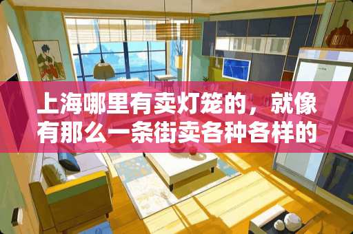 上海哪里有卖灯笼的，就像有那么一条街卖各种各样的东西？