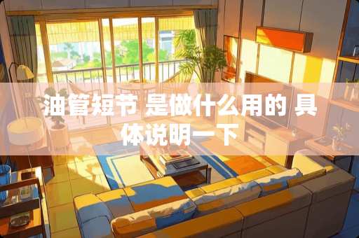 油管短节 是做什么用的 具体说明一下
