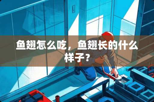 鱼翅怎么吃，鱼翅长的什么样子？