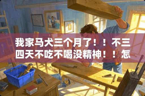 我家马犬三个月了！！不三四天不吃不喝没精神！！怎么办啊！去兽医院