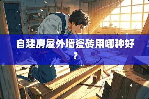 自建房屋外墙瓷砖用哪种好？