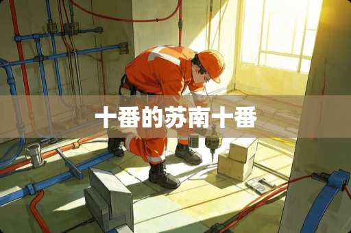 十番的苏南十番