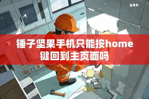 锤子坚果手机只能按home键回到主页面吗