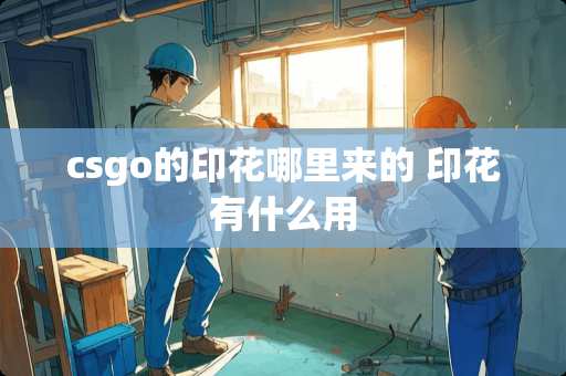 csgo的印花哪里来的 印花有什么用