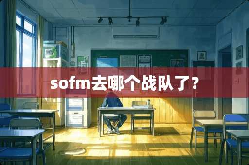 sofm去哪个战队了？