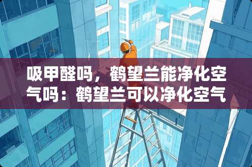 吸甲醛吗，鹤望兰能净化空气吗：鹤望兰可以净化空气吗