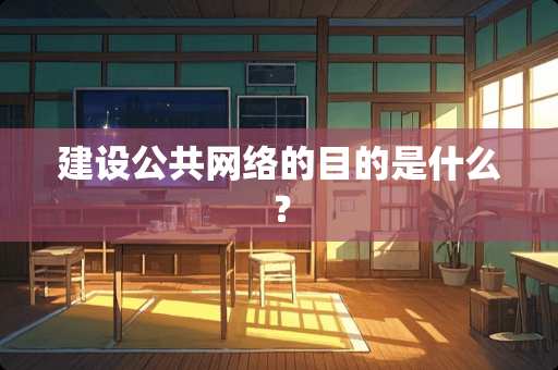 建设公共网络的目的是什么？
