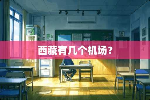 西藏有几个机场？