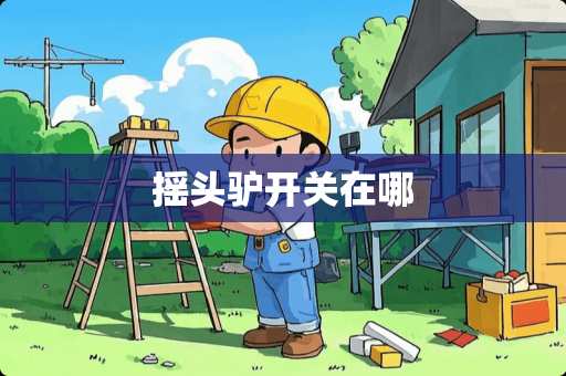摇头驴开关在哪