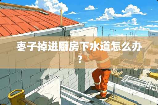 枣子掉进厨房下水道怎么办？