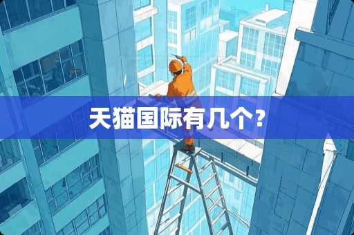 天猫国际有几个？