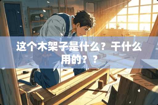 这个木架子是什么？干什么用的？？