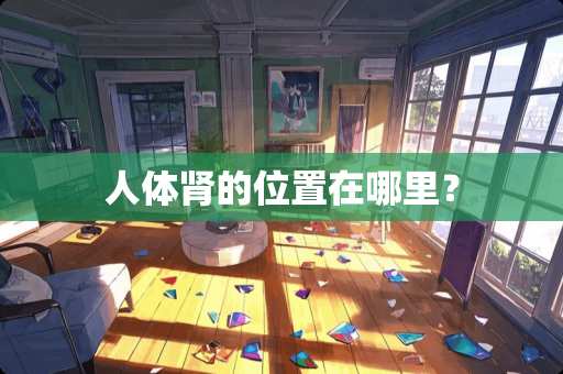 人体肾的位置在哪里？