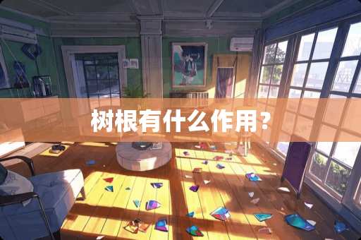 树根有什么作用？