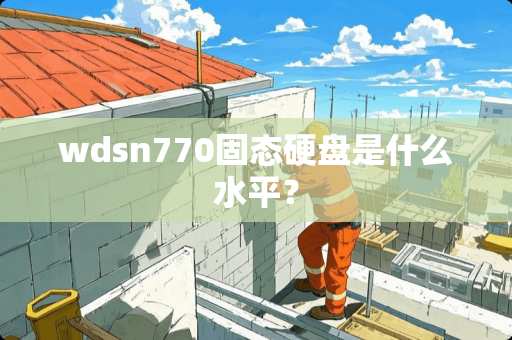 wdsn770固态硬盘是什么水平？