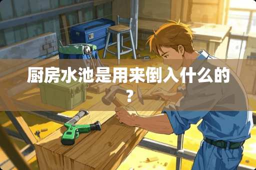 厨房水池是用来倒入什么的？