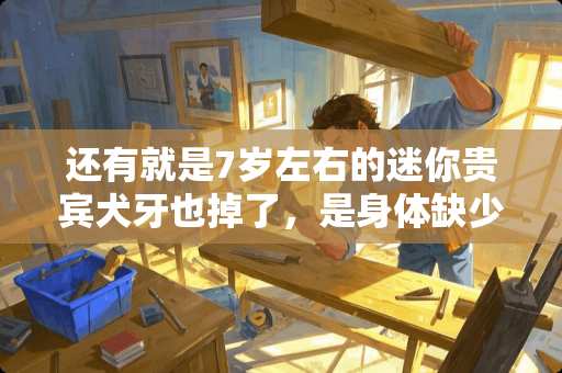 还有就是7岁左右的迷你贵宾犬牙也掉了，是身体缺少什么东西吗？