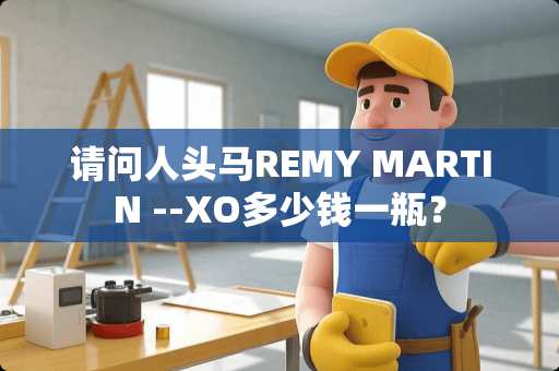 请问人头马REMY MARTIN --XO多少钱一瓶？