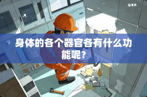 身体的各个**各有什么功能呢？