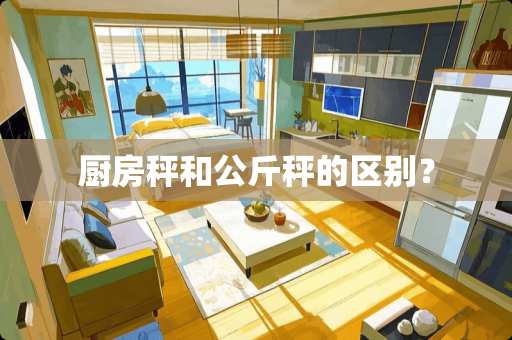 厨房秤和公斤秤的区别？