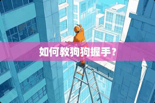 如何教狗狗握手? 如何教狗狗握手?