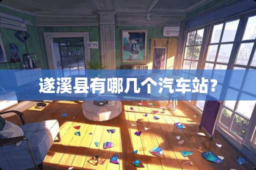 遂溪县有哪几个汽车站？
