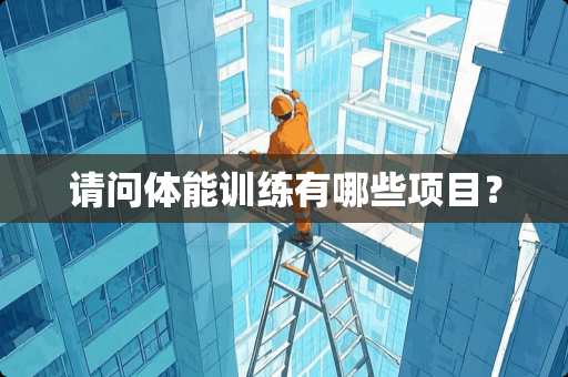 请问体能训练有哪些项目？