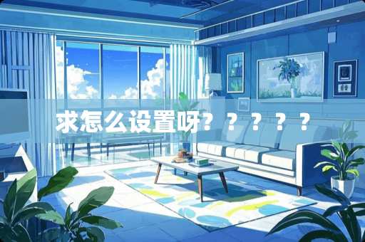 求怎么设置呀？？？？？