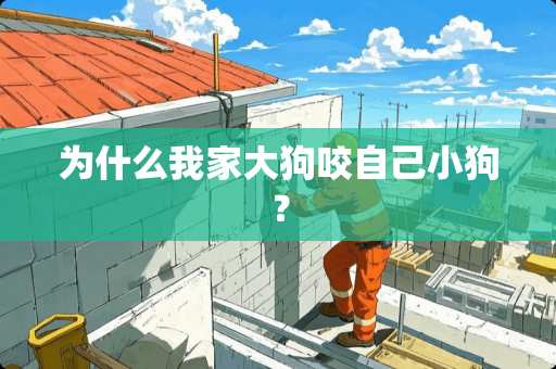 为什么我家大狗咬自己小狗？