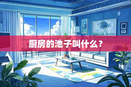 厨房的池子叫什么？