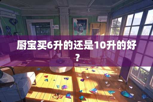 厨宝买6升的还是10升的好？