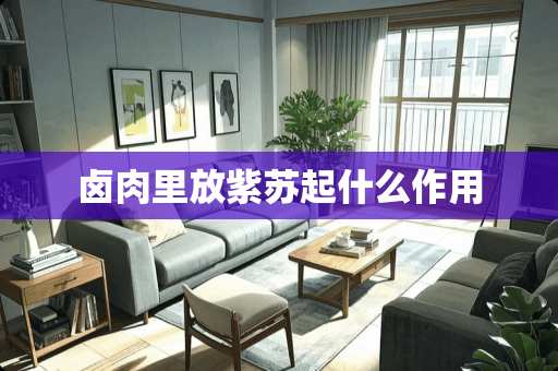 卤肉里放紫苏起什么作用